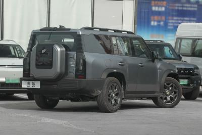 2025款 206km XWD 穿越加长版 7座-外观-图片-有驾