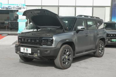 2025款 206km XWD 穿越加长版 7座-外观-图片-有驾
