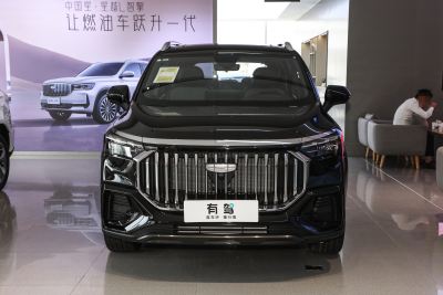 2024款 2.0T DCT豪华型-外观-图片-有驾