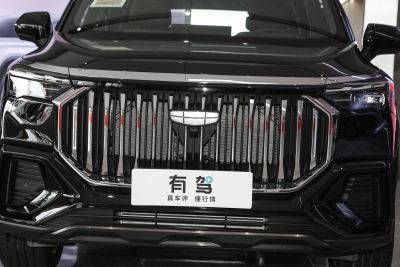 2024款 2.0T DCT豪华型-外观-图片-有驾