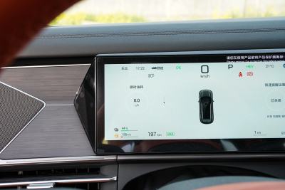2025款 DM 175KM无人机玩家版-内饰-图片-有驾