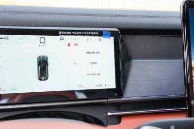 2025款 DM 175KM无人机玩家版-内饰-图片-有驾