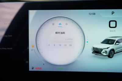 2025款 290T 两驱尊贵版-内饰-图片-有驾