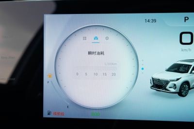 2025款 290T 两驱尊贵版-内饰-图片-有驾