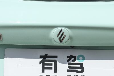 2025款 Plus 330KM豪华型-外观-图片-有驾