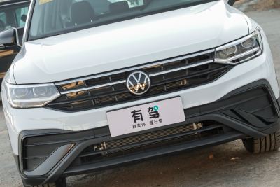2026款 出众款 300TSI 自动两驱龙腾版-外观-图片-有驾