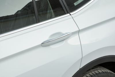 2026款 出众款 300TSI 自动两驱龙腾版-外观-图片-有驾