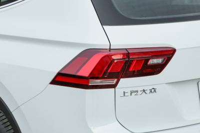 2026款 出众款 300TSI 自动两驱龙腾版-外观-图片-有驾