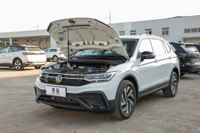 2026款 出众款 300TSI 自动两驱龙腾版-外观-图片-有驾