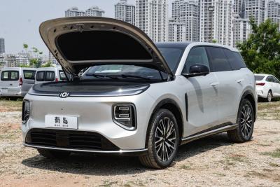 2025款 215旗舰型-外观-图片-有驾