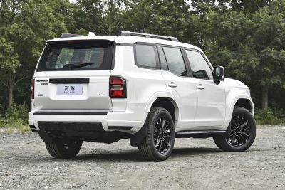 2026款 2.4T 旗舰VX版 5座-外观-图片-有驾