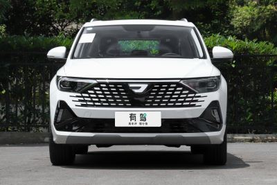 2024款 280TSI 自动先锋版-外观-图片-有驾