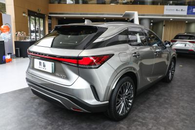 2025款 450h+ 四驱畅享版-外观-图片-有驾