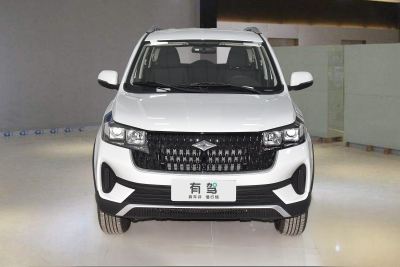 2022款 1.5L 手动标准型 7座-外观-图片-有驾