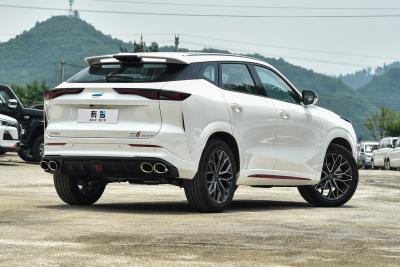 2023款 蓝鲸 1.5T DCT智航型-外观-图片-有驾