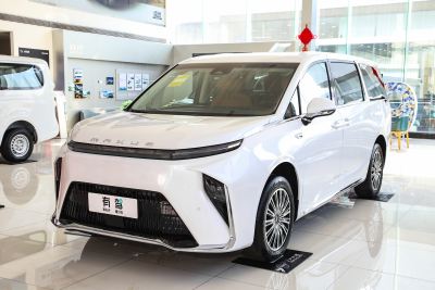2024款 改款 超混 超长续航森林版 七座-外观-图片-有驾