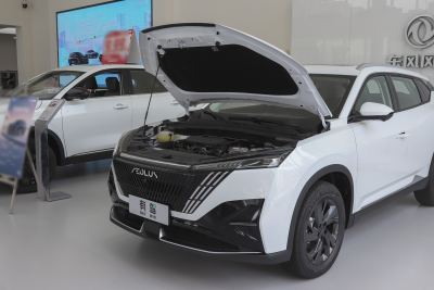 2025款 DH-i 1.5T 豪华型-外观-图片-有驾