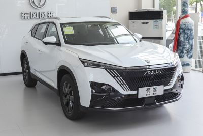 2025款 DH-i 1.5T 豪华型-外观-图片-有驾