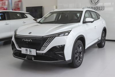 2025款 DH-i 1.5T 豪华型-外观-图片-有驾