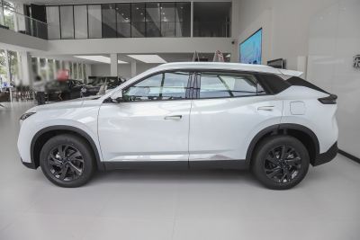 2025款 DH-i 1.5T 豪华型-外观-图片-有驾