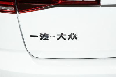 2025款 300TSI DSG尊行版-外观-图片-有驾