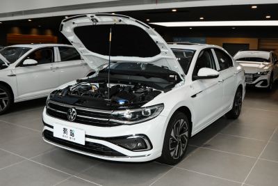 2025款 300TSI DSG尊行版-外观-图片-有驾