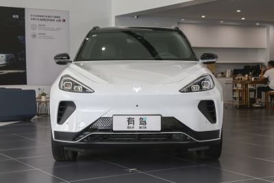 2023款 600D 森林版 320kW-外观-图片-有驾