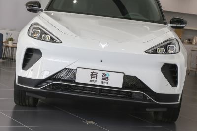 2023款 600D 森林版 320kW-外观-图片-有驾