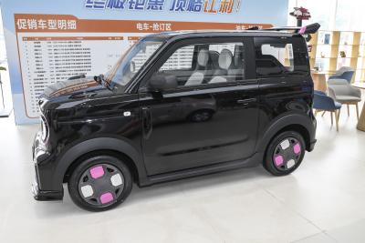 2025款 210km 熊猫卡丁-外观-图片-有驾
