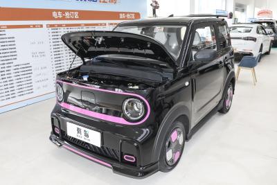 2025款 210km 熊猫卡丁-外观-图片-有驾