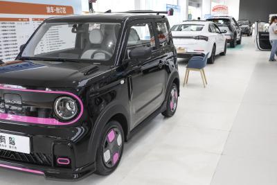 2025款 210km 熊猫卡丁-外观-图片-有驾