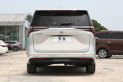 2025款 陆尊 尊享和悦艾维亚版-外观-图片-有驾