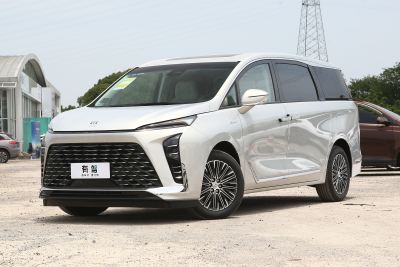 2025款 陆尊 尊享和悦艾维亚版-外观-图片-有驾