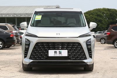 2025款 陆尊 尊享和悦艾维亚版-外观-图片-有驾