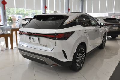 2023款 450h+ 四驱畅享版-外观-图片-有驾