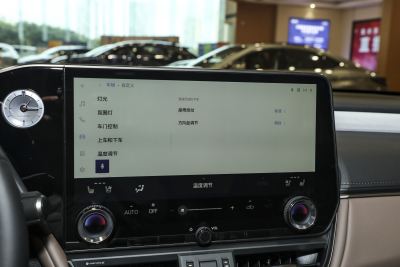 2025款 200 臻享版-内饰-图片-有驾