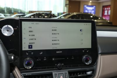 2025款 200 臻享版-内饰-图片-有驾