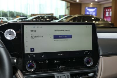 2025款 200 臻享版-内饰-图片-有驾