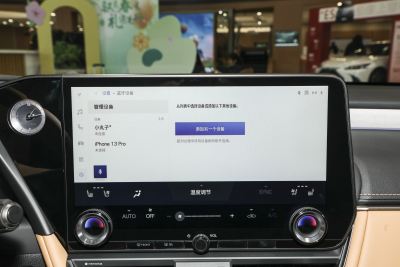 2025款 200 臻享版-内饰-图片-有驾