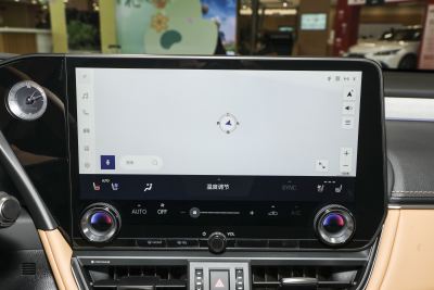 2025款 200 臻享版-内饰-图片-有驾
