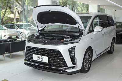 2026款 陆尊 奢享版-外观-图片-有驾