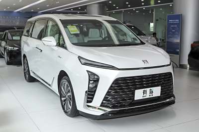 2026款 陆尊 奢享版-外观-图片-有驾