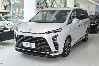 2026款 陆尊 奢享版-外观-图片-有驾