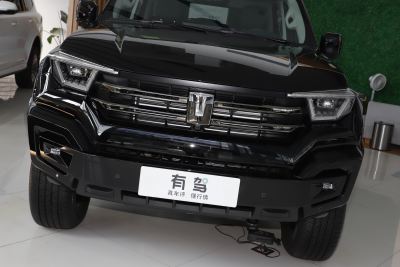 2025款 2.0T 汽油版-外观-图片-有驾