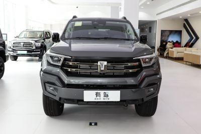 2025款 2.0T 汽油版-外观-图片-有驾