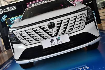 2025款 第四代 1.5T 新蓝鲸 智慧旗舰型-外观-图片-有驾