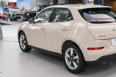 2025款 430km 豪华型-外观-图片-有驾
