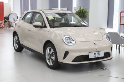 2025款 430km 豪华型-外观-图片-有驾
