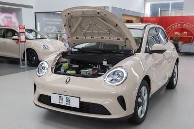 2025款 430km 豪华型-外观-图片-有驾
