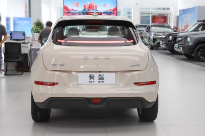 2025款 430km 豪华型-外观-图片-有驾